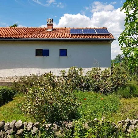 Villa Ecohouse Oliveglia Šilo Exterior foto