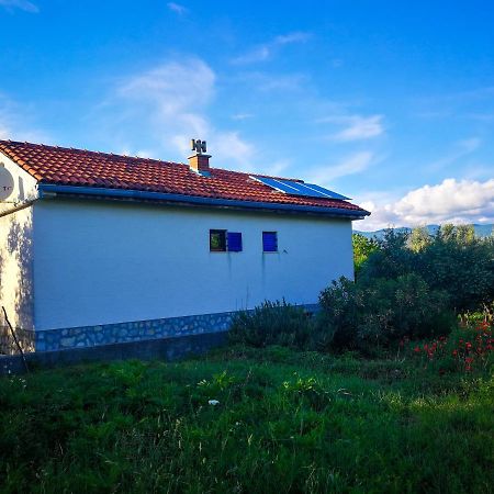 Villa Ecohouse Oliveglia Šilo Exterior foto